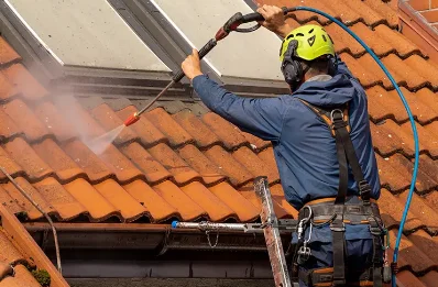 Démoussage et hydrofuge de toiture à Gourgé